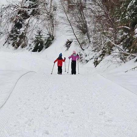 Dağ evi Natura Muszyna