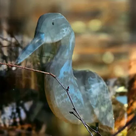 Natura *